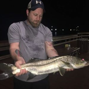 Meet your Posher, Dave